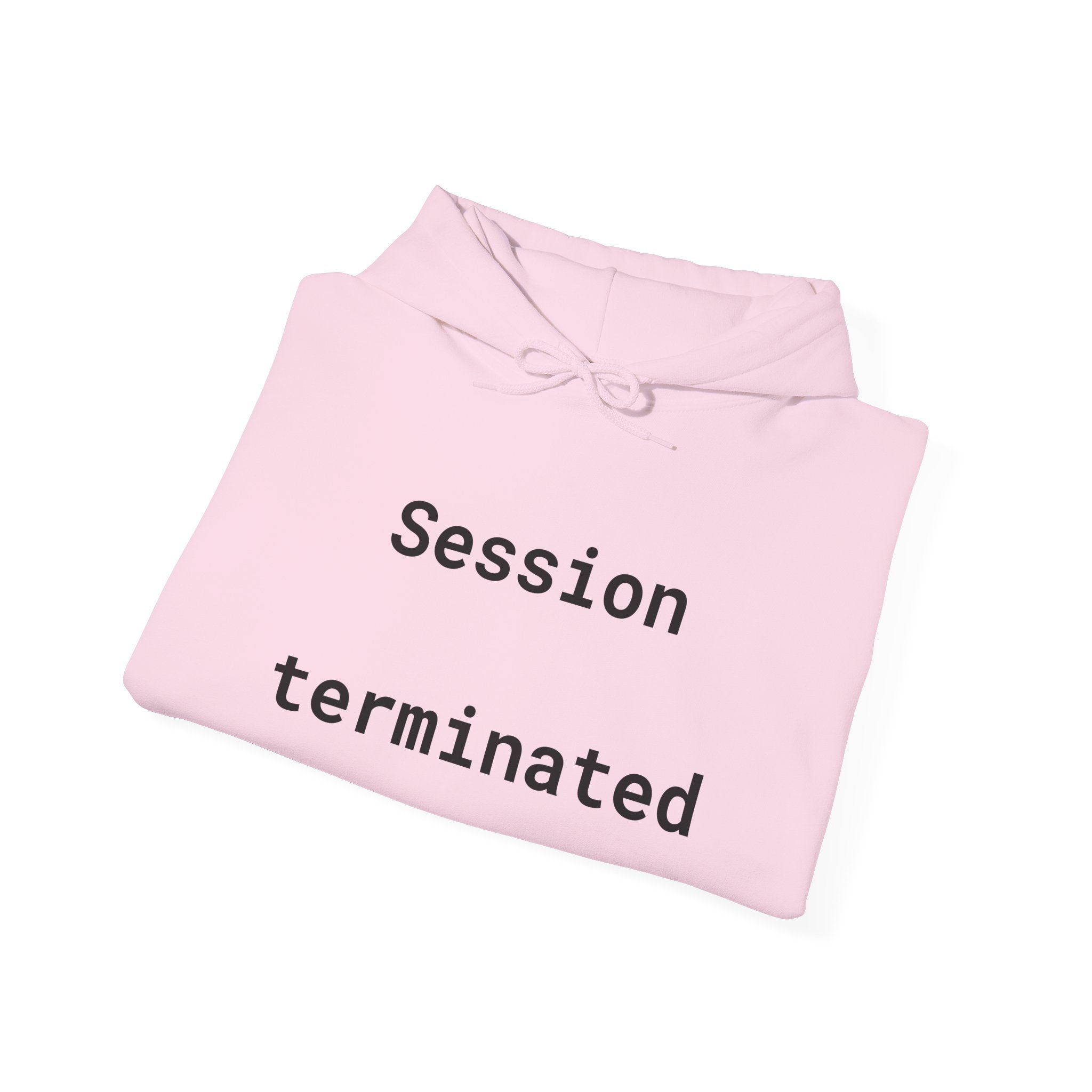 Hoodie — "Session Terminated" Retro Computer Graphic Hoodie