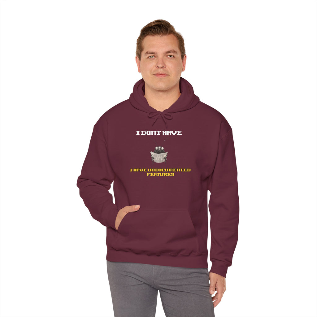 I Don’t Have — I Have Misunderstood Features Hoodie