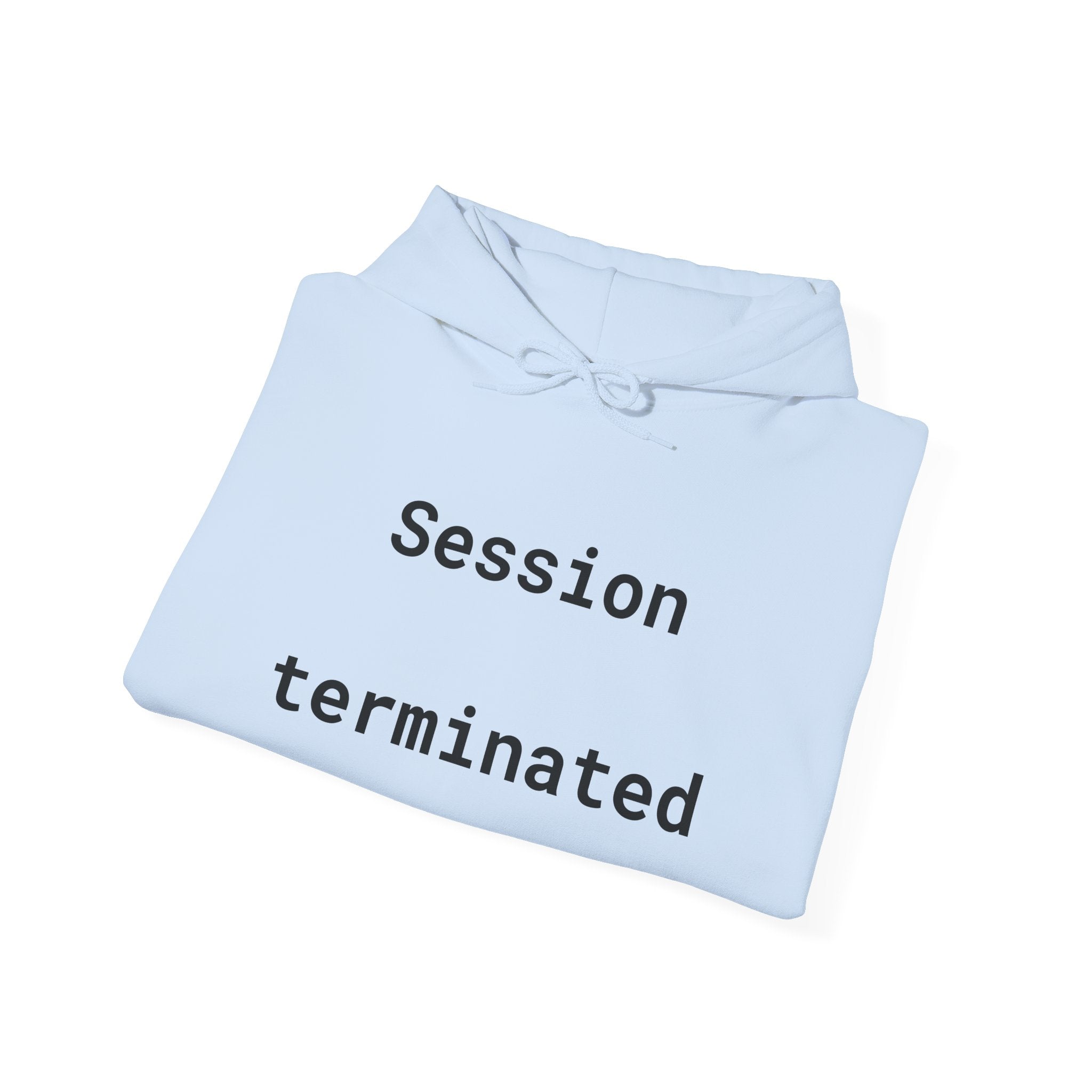 Hoodie — "Session Terminated" Retro Computer Graphic Hoodie