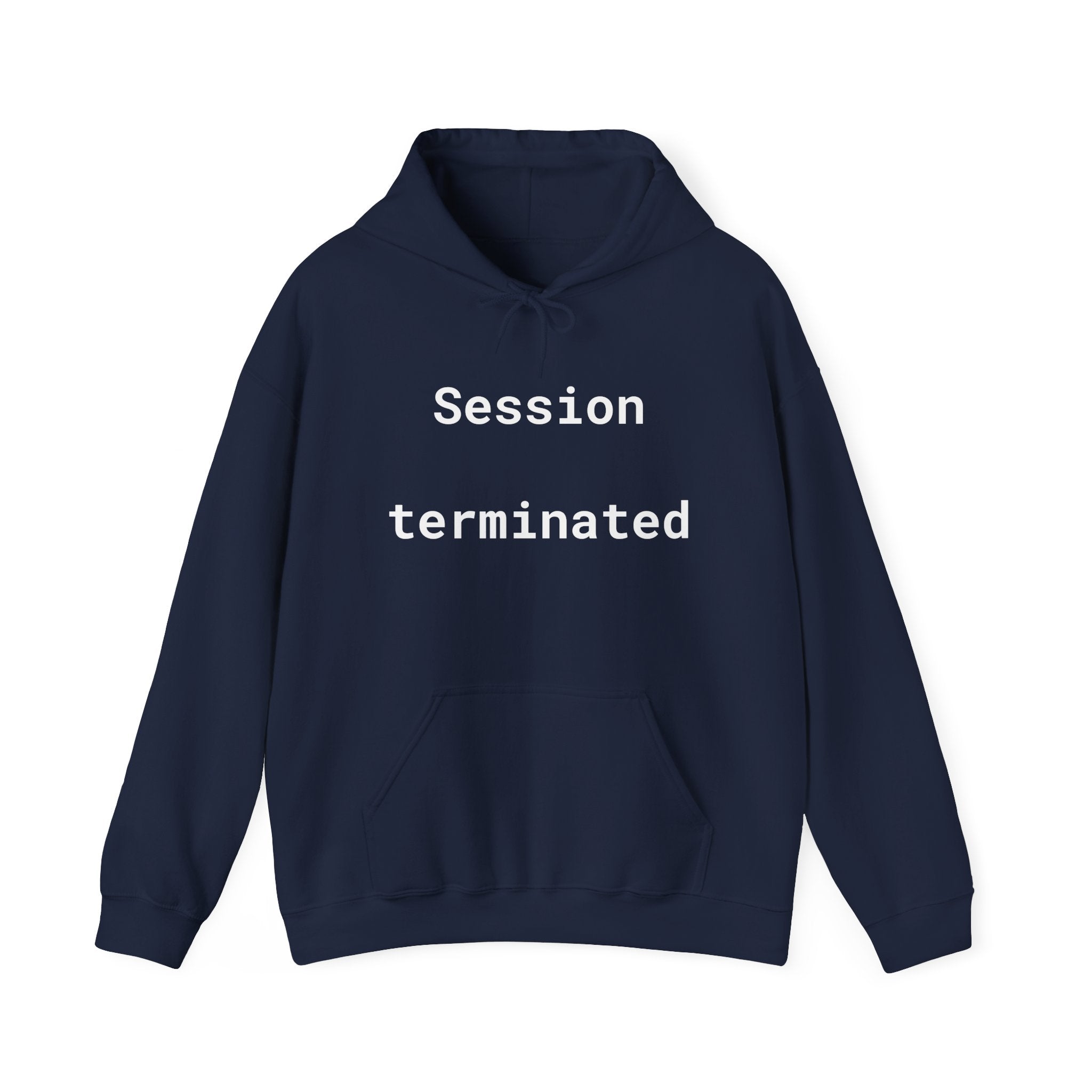 Session Terminated Hoodie — Retro Computer Vaporwave Tech Sweatshirt
