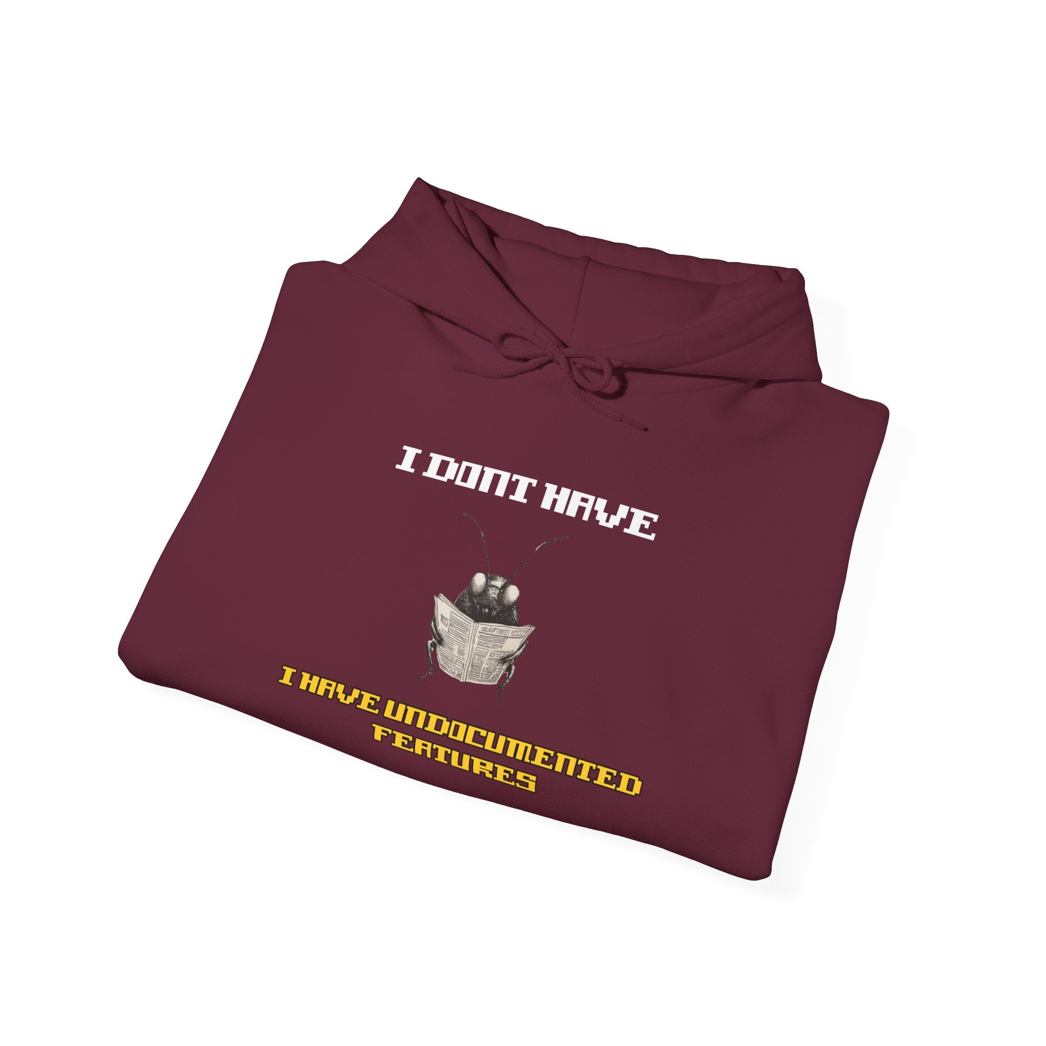 I Don’t Have — I Have Misunderstood Features Hoodie