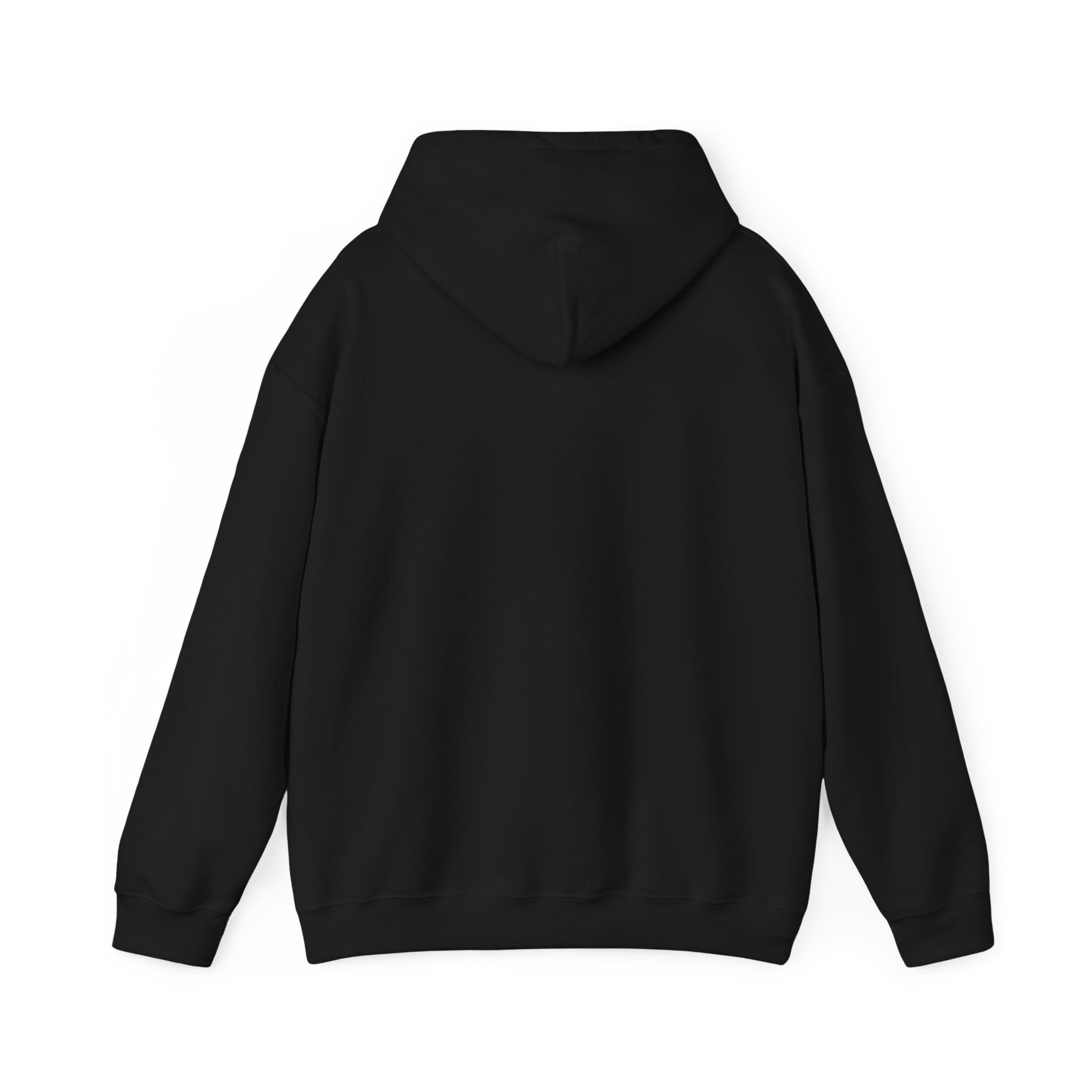I Don’t Have — I Have Misunderstood Features Hoodie