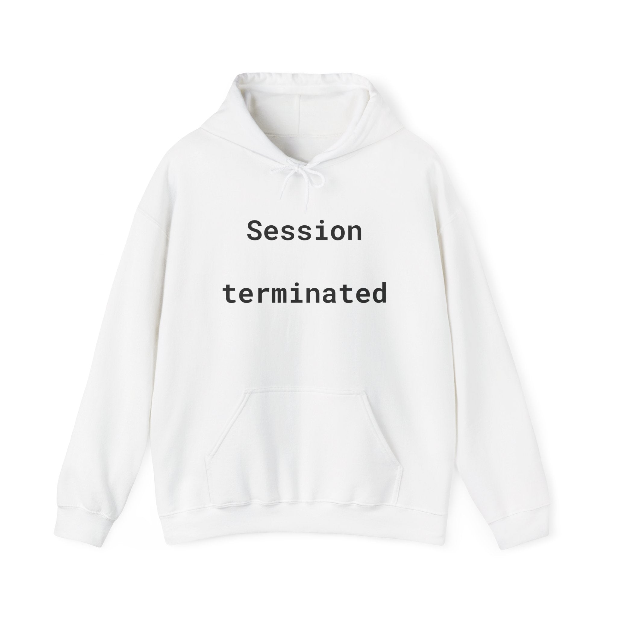 Hoodie — "Session Terminated" Retro Computer Graphic Hoodie