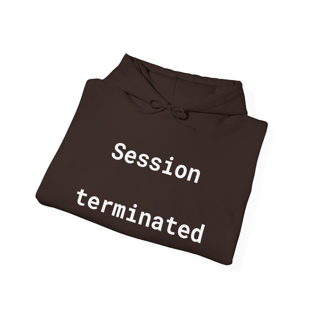 Session Terminated Hoodie — Retro Computer Vaporwave Tech Sweatshirt