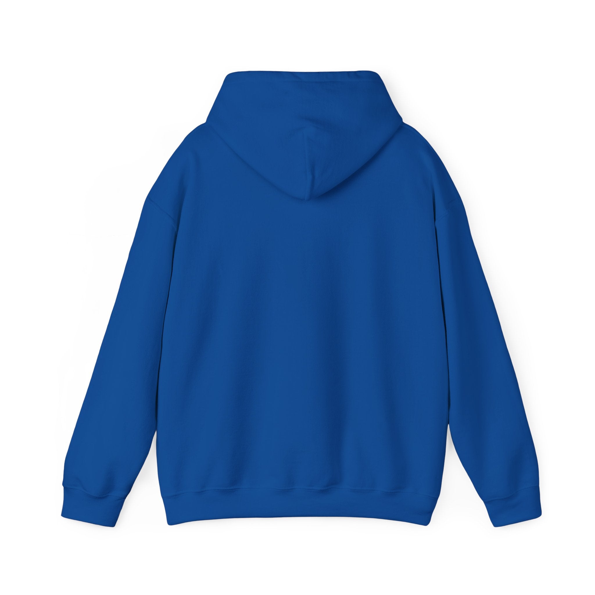 I Don’t Have — I Have Misunderstood Features Hoodie