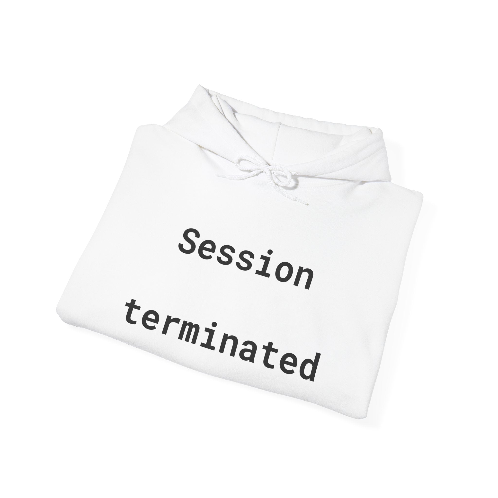 Hoodie — "Session Terminated" Retro Computer Graphic Hoodie