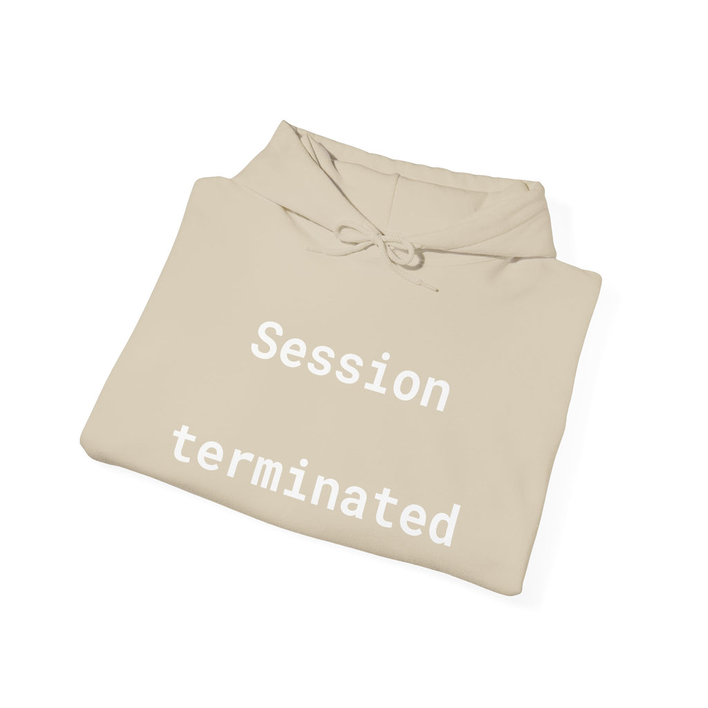 Session Terminated Hoodie — Retro Computer Vaporwave Tech Sweatshirt