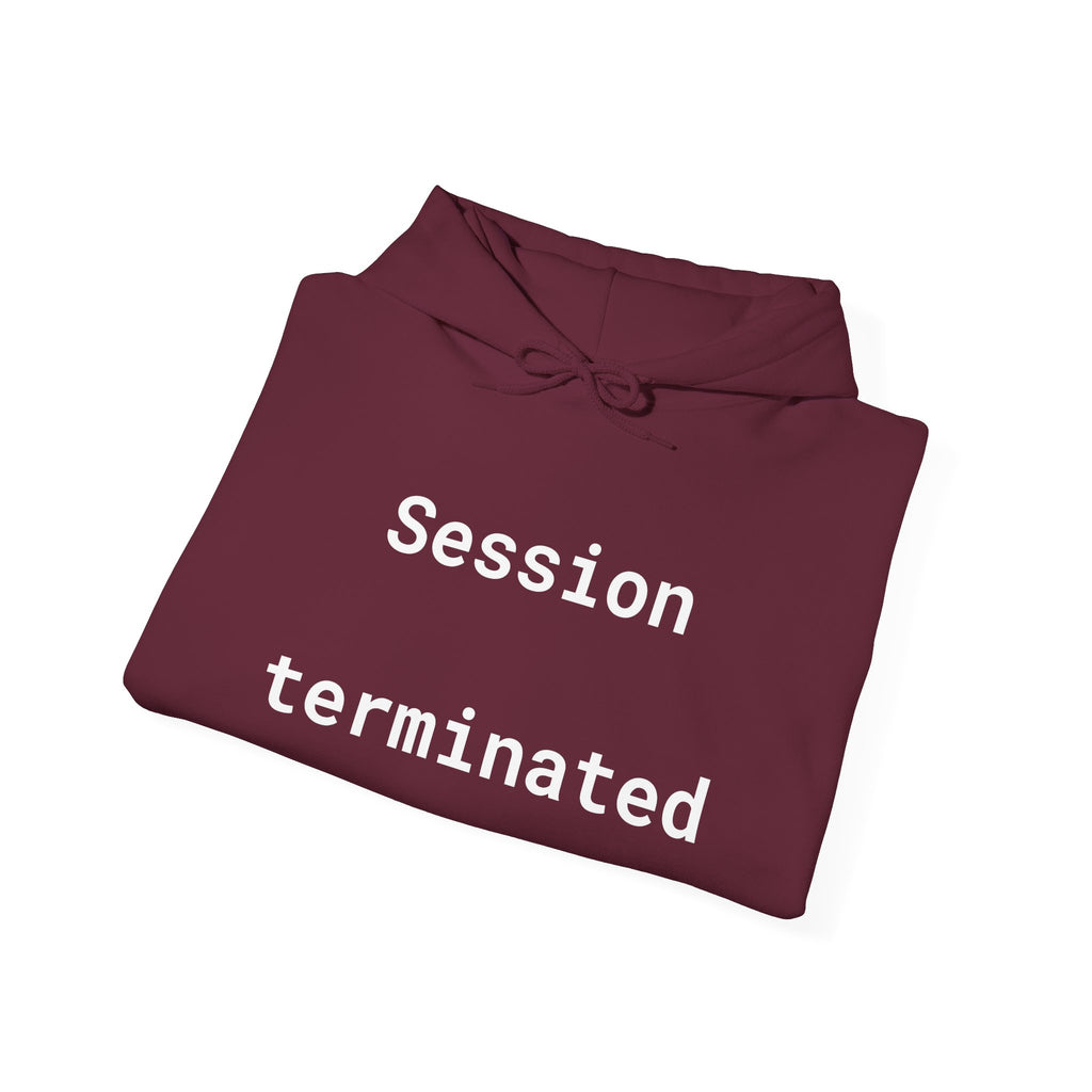 Session Terminated Hoodie — Retro Computer Vaporwave Tech Sweatshirt