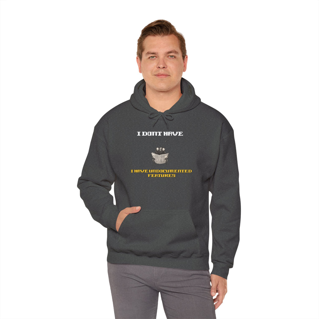 I Don’t Have — I Have Misunderstood Features Hoodie
