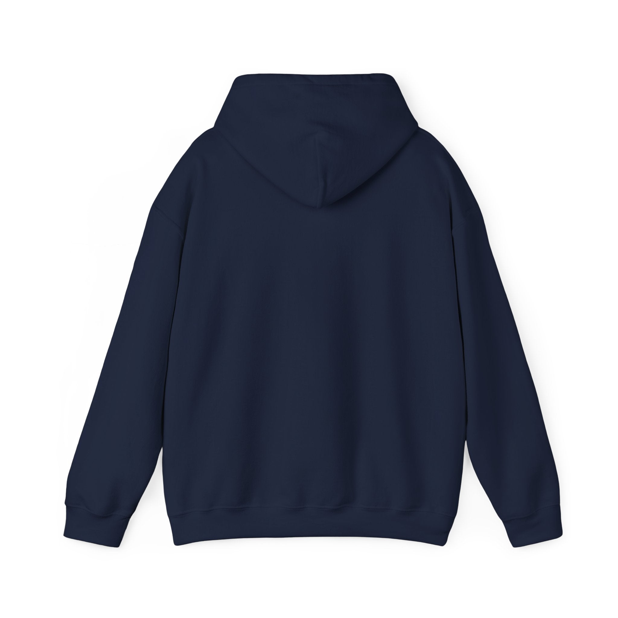 I Don’t Have — I Have Misunderstood Features Hoodie